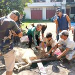 PWI Sumut Sembelih 6 Hewan Kurban di Idul Adha 1447H